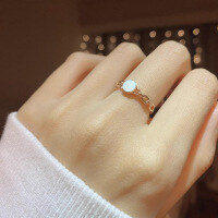 wholesale S925 Sterling Silver, 18K Gold, Black Onyx, White Shell, Diamond Red Elk Ins Chain Fashion Versatile Ring for Women-BZ0008-Rose Gold-Black Onyx US Size 6