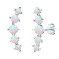 S925 Silver White Opal Earrings, Arched Design, Wholesale, Cross-border Live Sales-0-4