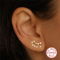 wholesale S925 Sterling Silver Irregular Zodiac Constellation Star Earrings with Diamonds-0-3