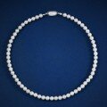 wholesale Metal material, elegant and graceful new 6mm imitation pearl necklace with a gentle Republic of China style, 40cm beaded neckchain-0-4
