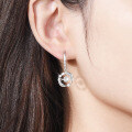 S925 Sterling Silver Moissanite Feather Earrings, New Women's Light Luxury Versatile Direct Factory-0-2