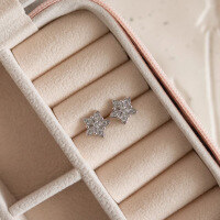 wholesale S925 Sterling Silver Red Elk Minimalist Niche Design Star Earrings Women's-BE0281-Platinum 925 Silver