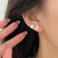 wholesale S925 Sterling Silver Star and Moon Ear Studs Women Korean Dongdaemun Ins Versatile Light Luxury Small and Chic Earrings-0-4