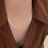 wholesale S925 Sterling Silver Heavy Workmanship Flat Snake Chain Necklace for Women, Korean Spring and Summer New Style, Versatile Trendy, Little Red Book Popular Minimalist Chain-Pure silver (45+5CM)