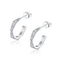 wholesale S925 silver new European and American double C zirconia earrings, high-end silver jewelry earrings wholesale-0-0
