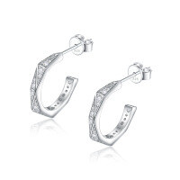 wholesale S925 silver new European and American double C zirconia earrings, high-end silver jewelry earrings wholesale-Platinum