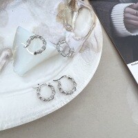 wholesale S925 Sterling Silver Twisted Rope Earrings for Women, Summer Xiaohongshu Viral Trendy Personalized Elegant Stud Earrings-Sterling silver