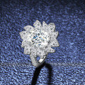 S925 Silver 2ct Oval Moissanite Ring for Women-0-1