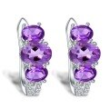 wholesale S925 Silver Fashionable New Natural Amethyst Earrings, Light Luxury High-End Sense Inlaid with Natural Gemstone Ear Studs-0-4