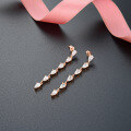 wholesale [S925 Sterling Silver] Ladies', Korean Style Diamond Inlaid Earrings, Elegant and Chic Long Drop Earrings-0-1