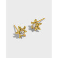 wholesale S925 Sterling Silver Korean Version Ins Minimalist Niche Design Versatile Starfish Micro-Paved Zircon Earrings for Women-0-0