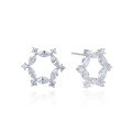 wholesale S925 Silver Plated Hexagram Earrings with Zirconia, Minimalist and Fresh Style, Korean Version, for Women Wholesale-0-4
