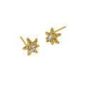 wholesale S925 Sterling Silver Korean Version Ins Minimalist Niche Design Versatile Starfish Micro-Paved Zircon Earrings for Women-0-6