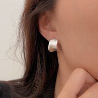 wholesale S925 Sterling Silver Geometric Irregular C-Shaped Stud Earrings for Women, Unique and Sophisticated Internet-Famous Style Earrings-Sterling silver