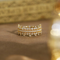 wholesale Gold Plated Sterling Silver, DuLi New Style Light Luxury Lace Shining Micro Inlaid Zircon Ring for Women, High-End Sense Jewelry-Japanese light luxury ring No. 8 (Mido)