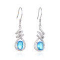 wholesale S925 Sterling Silver Blue Crystal Earrings, Pure Silver Earrings, Small Batch Design, High-End, Unique Style, Zircon Long Drop Earrings-0-4