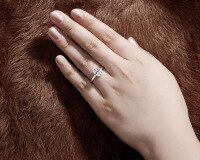 wholesale S925 sterling silver [Clearance of out-of-stock rings] Stylish and elegant women's rings, versatile bands, factory wholesale with free shipping-Type I [Clearance Free Shipping]  US Size 7