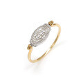 wholesale 925 Silver Gold-Plated Natural Iolite Reversible Vintage Ring for Wholesale-0-4