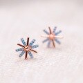 wholesale S925 Sterling Silver Maker's Sunflower Snowflake Earrings, Fashionable Retro European and American Niche Design, Versatile and Stylish Ear Jewelry-0-3