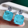 wholesale 925 Sterling Silver New Jewelry Women's Blue Paraiba Korean Style Ultra Sparkling Elegant 15*15 Earrings-0-5