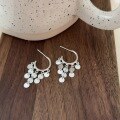 wholesale S925 Sterling Silver Multi-layer Tassel Raw Slice Ear Studs for Women, Small Fashion, Minimalist Style, Light Luxury, High-end Trendy Hoop-0-4