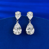 wholesale S925 Metal, New Water Drop Earrings for Women, High Carbon Diamond Earrings, Korean Style Trendy Internet Celebrity Ear Accessories-E075 White 925 Silver