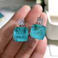 wholesale 925 Sterling Silver New Jewelry Women's Blue Paraiba Korean Style Ultra Sparkling Elegant 15*15 Earrings-0-3