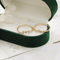 wholesale 925 Silver Diamond Ring for Women, Dainty and Fashionable Rose Zirconia Gold Ring-0-1