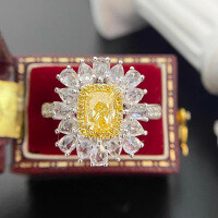 wholesale S925 Sterling Silver Red Elk Full Body Ins Style 18K Blue Gemstone Ring, Thick and Substantial Texture, Elegant and Versatile Women's Band-BZ0022-White Gold-Gold US Size 8