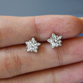 S925 Silver Star Moissanite Earrings for Women Wholesale Cross-Border-0-1