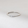 wholesale S925 Sterling Silver Fresh and Sweet Niche Design Diamond-Cut Faceted and Polished Couple Ring R02804-0-3