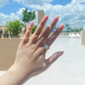 S925 Sterling Silver Fashion Ins Lightweight Luxury Flash Zircon Ring Small Batch Design-0-1