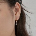 wholesale S925 Sterling Silver Light Luxury High-End Pear-Shaped Round Diamond Zircon Design Elegant and Fashionable Earrings for Women-0-1
