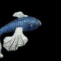 wholesale S925 silver gold-plated full zirconia royal blue new Chinese style goldfish luxury fully set versatile women's brooch-0-2