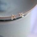 wholesale 9K Solid Gold Five-Prong Star Zircon Minimalist Korean Mini Stud Earrings-0-0