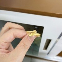 wholesale (S925 Sterling Silver) Adjustable Open Dragon Tail Ring for Women with Red Corundum and Matte Finish-Gold-CBJZ429 Adjustable opening