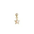 wholesale 925 Sterling Silver Star Earrings With Opal, Minimalist Luxury European And American Style Ear Studs For Women-0-0