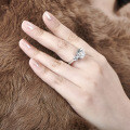 S925 Silver Clearance Square Zircon Ring, Free Shipping-0-20