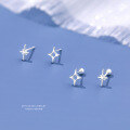 wholesale 925 Sterling Silver Shining Cz Star Earrings For Women -0-1