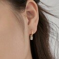 wholesale S925 Sterling Silver INS Style New Rectangle Zircon Design Elegant and Fashionable High-End Earrings Wholesale-0-1