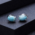 wholesale S925 Sterling Silver Minimalist Cross-Border with Sleeping Beauty Turquoise Ear Studs-0-1