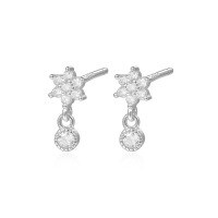 wholesale S925 Sterling Silver Irregular Marquise Zircon Fringe Earrings With Floral Drop Chain-E2806-white gold