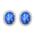 wholesale S925 Silver Cultivated Star Ruby and Sapphire Light Luxury Earrings, Exquisite Micro-Set Gemstone Stud Earrings-0-0