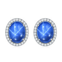 wholesale S925 Silver Cultivated Star Ruby and Sapphire Light Luxury Earrings, Exquisite Micro-Set Gemstone Stud Earrings-Starlight Sapphire Earrings