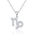 S925 Silver Zodiac Necklace with Moissanite, Customizable Women's Pendant-0-11