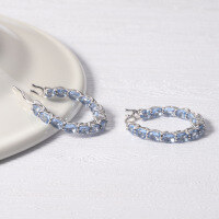 wholesale S925 Sterling Silver Cultivate Ruby Unique Personality Zircon Earrings European and American Style Internet Celebrity Hoop Earrings-Tanzanite glass earrings 925 silver