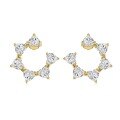 wholesale S925 Sterling Silver French Cross-Border Heart-Shaped Star Earrings for Women, Exquisite Design, Fashionable and Versatile with a Premium Feel-0-6
