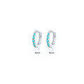 wholesale 925 Sterling Silver Light Luxury Circle Earrings With Colorful Zircon, Cross-border Hot-selling Minimalist Earrings For Women And Men-0-21