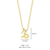 wholesale S925 Sterling Silver Virgo Constellation Pendant Necklace For Women, Ins Hot-selling Cross-border Collarbone Chain-A2283-Capricorn 925 silver