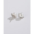 wholesale 925 Sterling Silver Freshwater Pearl Earrings for Women, New Arrival Small and Exquisite High-End Elegant Earrings for Pierced Ears-0-2
